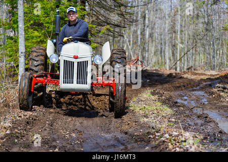 Uomo alla guida di un trattore d'epoca su fondi fangosi strada sterrata nel bosco. Foto Stock