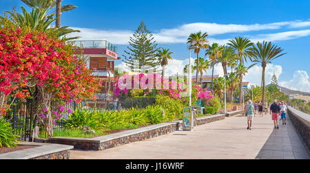 Fioritura di fiori primaverili sul lungomare, Playa de Ingles, Gran Canaria, Isole Canarie, Spagna Foto Stock