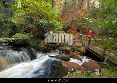 Walkers su un sentiero circondato da splendide fogliame di autunno in scenic Wyming Brook riserva naturale in Sheffield city's Peak District Regione England Regno Unito Foto Stock