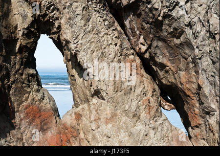 Vista ravvicinata della roccia con fori in Ruby spiaggia del Parco Nazionale di Olympic, nello Stato di Washington, USA Foto Stock