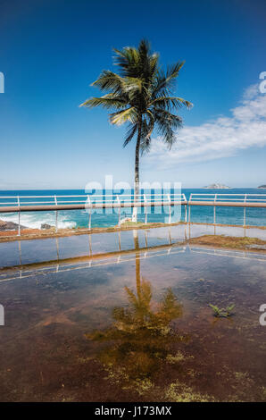 Palm tree reflection in Rio de Janeiro, Brasile Foto Stock