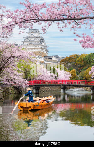 Il castello di Himeji con splendidi fiori di ciliegio in primavera, a Hyogo vicino a Osaka, Giappone. Il castello di Himeji è famoso fiore di ciliegio viewpoint in Osaka, Ja Foto Stock