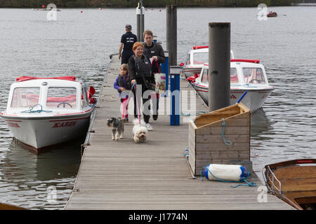 Cumbria, Regno Unito. Xviii Apr, 2017. Lago di Windermere pomeriggio Bowness on Windermere, Ovecast pomeriggio Bowness Bay lungomare gite in barca sempre popolare -rowning Barche o auto di credito deive: Gordon Shoosmith/Alamy Live News Foto Stock