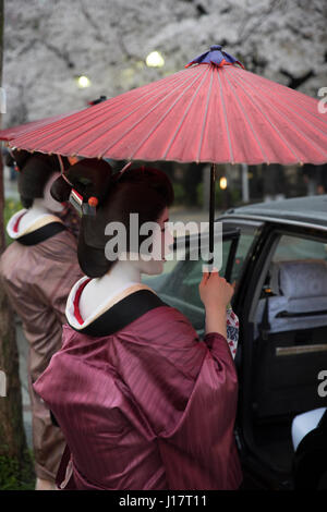 Geisha con ombrelloni tradizionale per arrivare in taxi su Kiyamachi-dori street in Higashiyama nr. Gion, Kyoto, Giappone Foto Stock