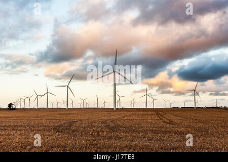 Il Wattlepoint wind farm situato sulla penisola yorkes Foto Stock