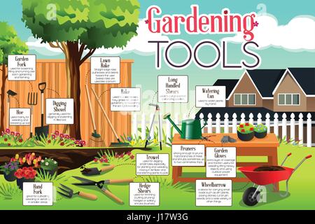 Una illustrazione vettoriale di utensili da giardinaggio ed infografico Illustrazione Vettoriale