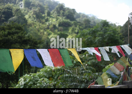 Bandiere buddista su una stringa. Il Meghalaya, India Foto Stock