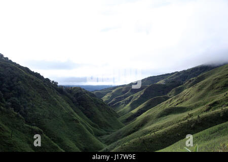 Dzükou Valley. Confine degli stati del Nagaland e Manipur, India. Ben noto per la sua bellezza naturale, fiori stagionali e la flora complessiva e Il Fauno Foto Stock