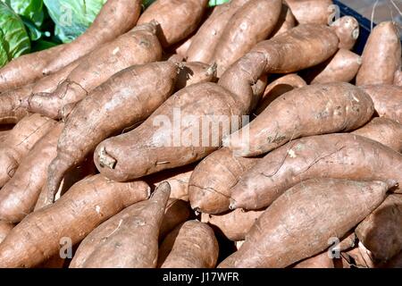 Filati (Dioscorea) al Charleston farmers market, Carolina del Sud Foto Stock