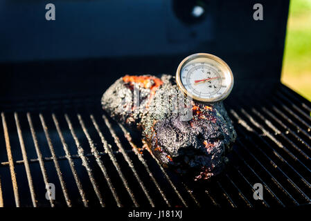 Famiglia backyard barbecue - pic-nic barbecue. Controllo della corretta temperatura con il termometro della carne. Foto Stock