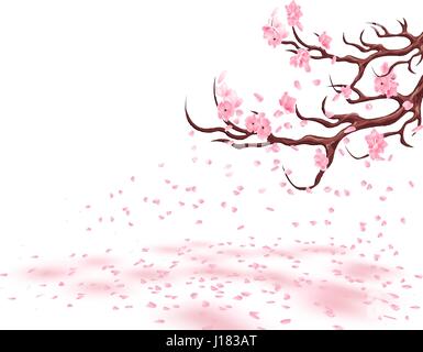 Rami di un affievolimento rosa ciliegia. Sakura. I petali volare nel vento e giacciono a terra. Isolato su sfondo bianco. illustrazione Illustrazione Vettoriale