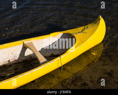 Giallo, canoa fiume Tamigi, sul tamigi percorso, Nr Reading, Berkshire, Inghilterra, Regno Unito, GB. Foto Stock