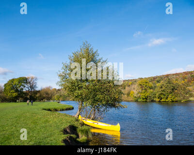 Giallo, canoa fiume Tamigi, sul tamigi percorso, Nr Reading, Berkshire, Inghilterra, Regno Unito, GB. Foto Stock