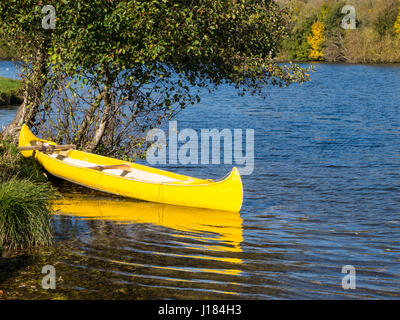 Giallo, canoa fiume Tamigi, Nr Reading, Berkshire, Inghilterra, Regno Unito,GB. Foto Stock