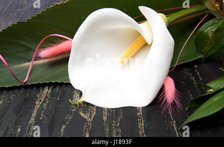 Calla Lily flower bouquet decorato su un tavolo Foto Stock
