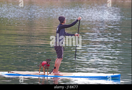 Uomo e cane sul Paddleboard Foto Stock