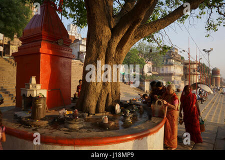 Donne pregando shivling , varanasi, Uttar Pradesh, India, Asia Foto Stock