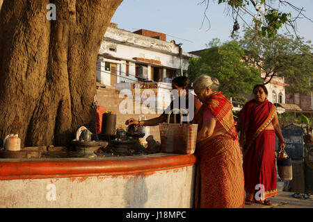 Donne pregando shivling , varanasi, Uttar Pradesh, India, Asia Foto Stock