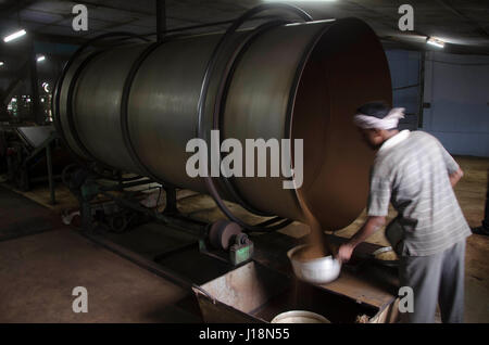 Lavoratore a raccogliere polvere di tè, vagamon, Kerala, India, Asia Foto Stock