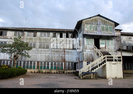 Fabbrica di tè, vagamon, Kerala, India, Asia Foto Stock