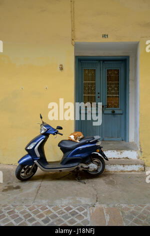 Gatto addormentato su scooter Foto Stock