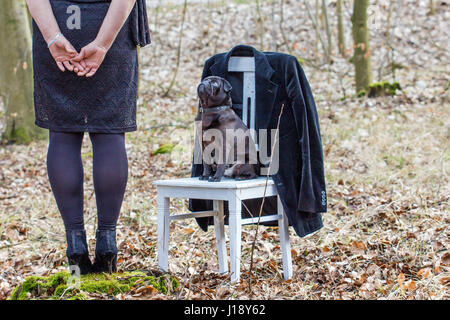 Una donna in abiti neri con un nero pug su una sedia bianca nella foresta Foto Stock