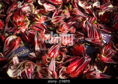 Roselle freschi ed essiccati su una tavola di legno. Naturale proprietà medicinali Foto Stock