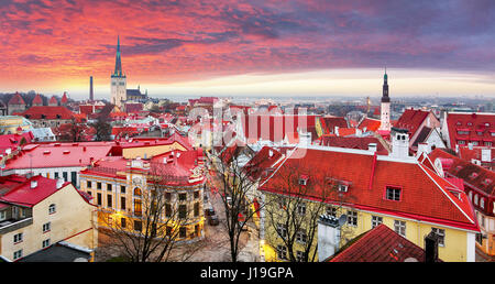 Tallin città vecchia, Estonia. Foto Stock