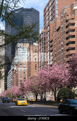 Park Avenue nel centro di Manhattan, New York, Stati Uniti d'America Foto Stock