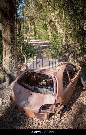 Bruciata auto nel bosco Foto Stock