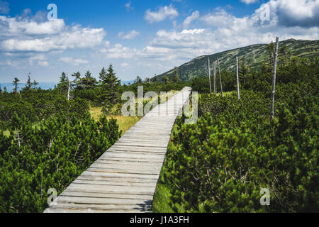 Sentiero in legno per escursioni nei monti Karkonosze in Polonia. Foto Stock