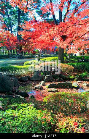 Otaguro Koen Park fogliame di autunno Suginami Tokyo Giappone Foto Stock