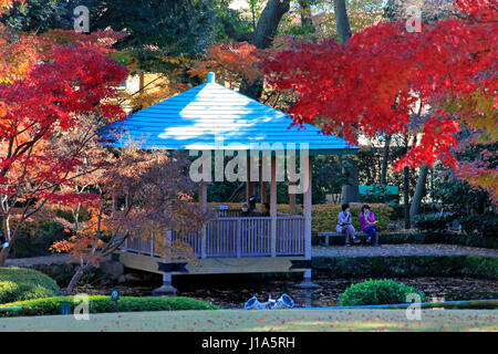 Otaguro Koen Park fogliame di autunno Suginami Tokyo Giappone Foto Stock