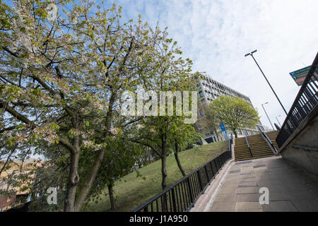 Paesaggio urbano vista di Wolverhampton University Art School in calcestruzzo brutalist architettura in una giornata di primavera Foto Stock