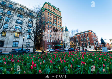 Vista del centro della città di Mount Vernon, baltimore maryand shot dal Tulip Garden in primavera Foto Stock