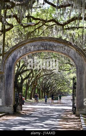 Wormsloe Sito Storico di ingresso a Savannah, Georgia Foto Stock