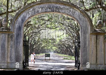 Wormsloe Sito Storico di ingresso a Savannah, Georgia Foto Stock