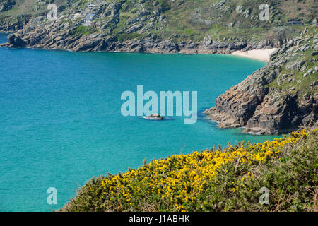 Treen, Cornwall, Regno Unito. Il 19 aprile 2017. Regno Unito Meteo. Gloriosamente mattina di sole per le spiagge a Treen e Porthcurno, con il cliffside piante in piena fioritura nel sole splendente. Credito: cwallpix/Alamy Live News Foto Stock