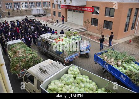 Liaocheng, Liaocheng, Cina. Xix Apr, 2017. Liaocheng, Cina-Aprile 19 2017: (solo uso editoriale. Cina OUT) a base vegetale dona ortaggi di più di 30.000 kg per scuole nella contea di Chiping, Liaocheng City, est della Cina di Provincia di Shandong, Aprile 19th, 2017. Credito: SIPA Asia/ZUMA filo/Alamy Live News Foto Stock