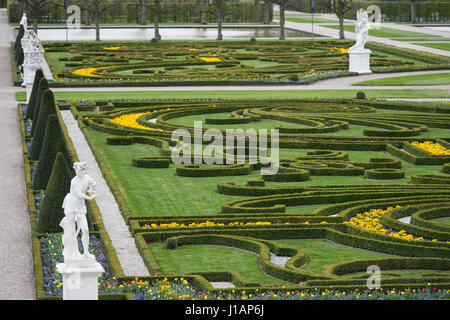 Hannover, Germania. Decimo Apr, 2017. Struttura di scatola di piante danneggiate da un fungo può essere visto presso i giardini storici di Herrenhaeuser Garten a Hannover, Germania, 10 aprile 2017. Foto: Sila Stein/dpa/Alamy Live News Foto Stock