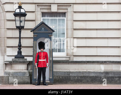 Coldstream guardsman di sentinella fuori Buckingham Palace. Londra, Inghilterra Foto Stock