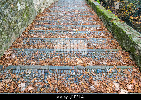 Vintage pietra lastricata passaggi coperti con Brown dry caduta foglie Foto Stock