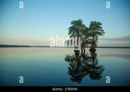 La riflessione di alberi nel fiume al tramonto Foto Stock