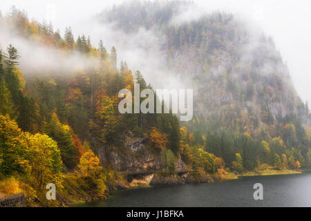 In autunno gli alberi colorati danno un accento colorato per la mountain lake shore mentre la nebbia entra in Foto Stock