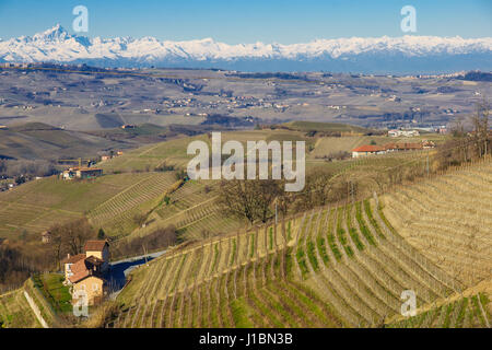 Campagna italiana di campi e di vigne in inverno. Le Langhe, Piemonte (Piemonte), Italia Foto Stock