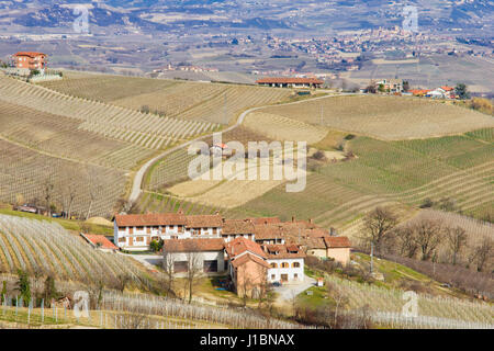 Campagna italiana di campi e di vigne in inverno. Le Langhe, Piemonte (Piemonte), Italia Foto Stock