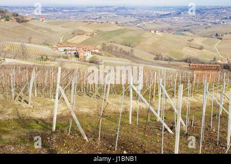 Campagna italiana di campi e di vigne in inverno. Le Langhe, Piemonte (Piemonte), Italia Foto Stock