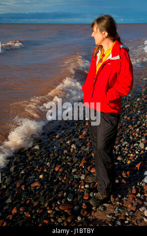 Escursionista sulla spiaggia al lago Superior, Brule River State Forest, Wisconsin Foto Stock