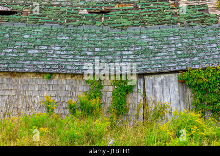 Fienile in Prince Edward Island, Canada Foto Stock