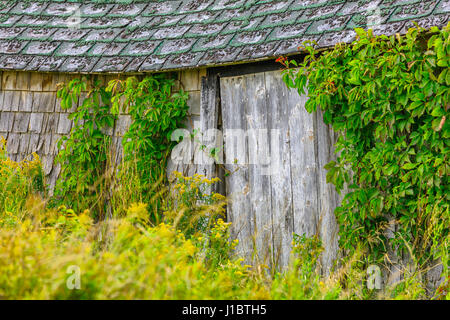 Fienile in Prince Edward Island, Canada Foto Stock